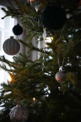 Séjour Noel Exclusif en Famille